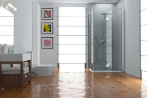 Essential Tips: What To Do During a Plumbing Emergency
